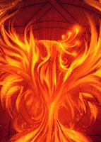 Avatar de Usuario
