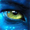 Avatar de Usuario