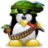 Avatar de Usuario