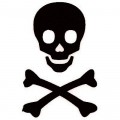 Avatar de Usuario