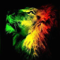 Avatar de Usuario